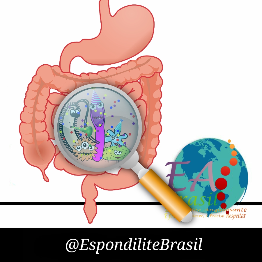 O que é microbiota intestinal? Qual relação com a Espondilite?